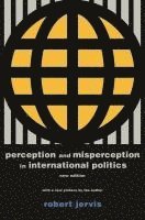 Perception and Misperception in International Politics (hftad)