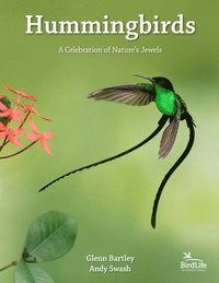 Hummingbirds (inbunden)