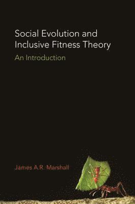 Social Evolution and Inclusive Fitness Theory (h�ftad)