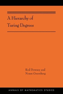 A Hierarchy of Turing Degrees (inbunden)