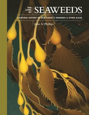 Lives of Seaweeds (inbunden)