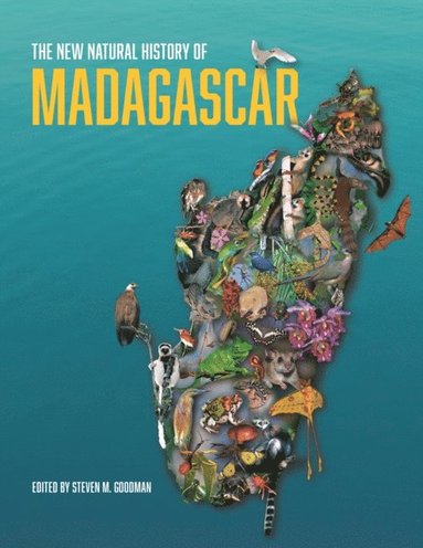 New Natural History of Madagascar (e-bok)