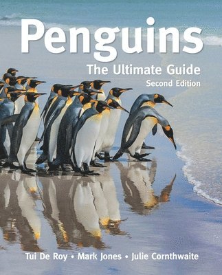 Penguins (inbunden)