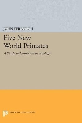 Five New World Primates (h�ftad)