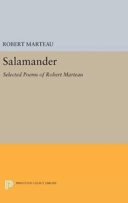 Salamander (häftad)
