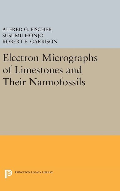 Electron Micrographs of Limestones and Their Nannofossils (inbunden)