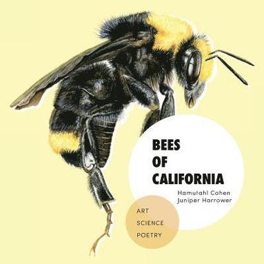 Bees of California (hftad)