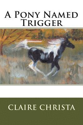 A Pony Named Trigger (inbunden)