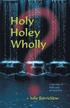Holy, Holey, Wholly? A Journey of Faith and Perspective