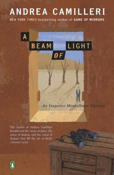 Beam of Light (e-bok)