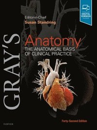 Gray's Anatomy (inbunden)