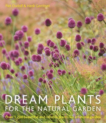 Dream Plants for the Natural Garden (hftad)