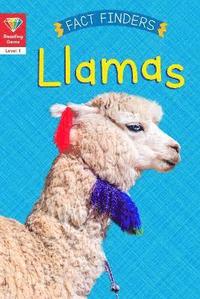 Reading Gems Fact Finders: Llamas (Level 1) (hftad)