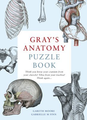 Gray's Anatomy Puzzle Book (hftad)