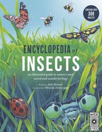 Encyclopedia of Insects (e-bok)