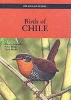 Birds of Chile (hftad)
