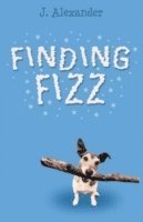 Finding Fizz (hftad)
