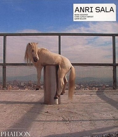 Anri Sala (häftad)