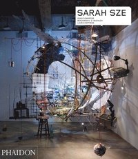 Sarah Sze (hftad)