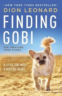Finding Gobi: A Little Dog with a Very Big Heart (hftad)