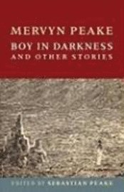 Boy in Darkness and Other Stories (häftad)
