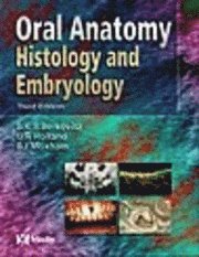 Oral Anatomy, Histology & Embryology - Barry K B Berkovitz - Häftad ...