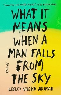 What It Means When a Man Falls from the Sky: Stories (hftad)