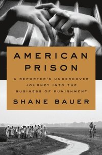 American Prison (e-bok)