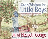 God's Wisdom for Little Boys (e-bok)