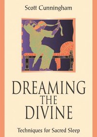 Dreaming the Divine (häftad)