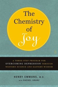 Chemistry of Joy (e-bok)