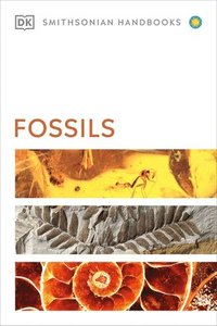 Fossils (hftad)