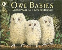 Owl Babies (häftad)