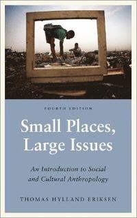 Small Places, Large Issues (häftad)