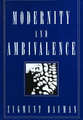 Modernity and Ambivalence (hftad)