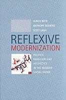 Reflexive Modernization (hftad)