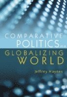 Comparative Politics in a Globalizing World (inbunden)