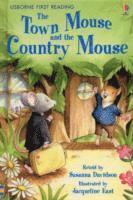 The Town Mouse and the Country Mouse (inbunden)