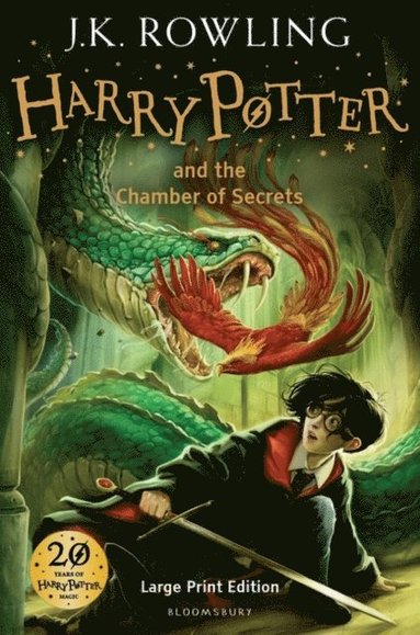 Harry Potter and the Chamber of Secrets (LARGE PRINT) (hftad)