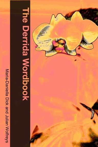 Derrida Wordbook (h�ftad)