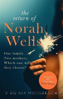 The Return of Norah Wells (hftad)