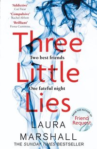 Three Little Lies (e-bok)