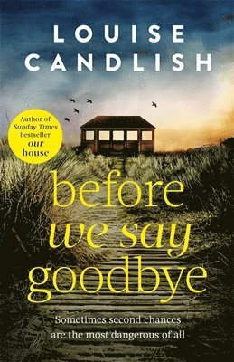 Before We Say Goodbye (h�ftad)