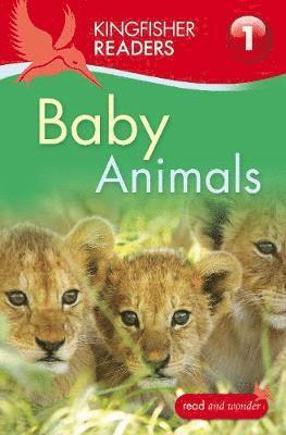 Kingfisher Readers: Baby Animals (Level 1: Beginning to Read) (hftad)