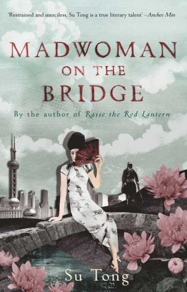 Madwoman On The Bridge And Other Stories (hftad)