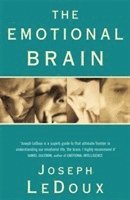 The Emotional Brain (hftad)