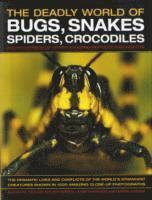 Deadly World of Bugs, Snakes, Spiders, Crocodiles and Hundreds of Other Amazing Reptiles and Insects (h�ftad)