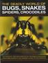 Deadly World of Bugs, Snakes, Spiders, Crocodiles and Hundreds of Other Amazing Reptiles and Insects