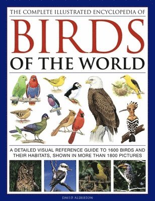 Complete Illustrated Encyclopedia of Birds of the World (h�ftad)