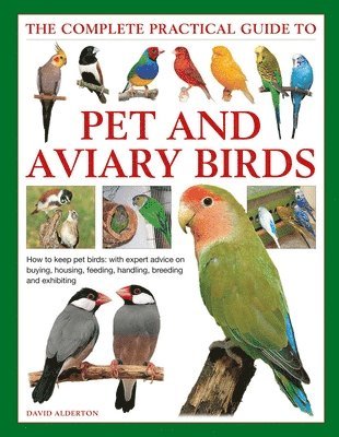 Keeping Pet & Aviary Birds, The Complete Practical Guide to (inbunden)